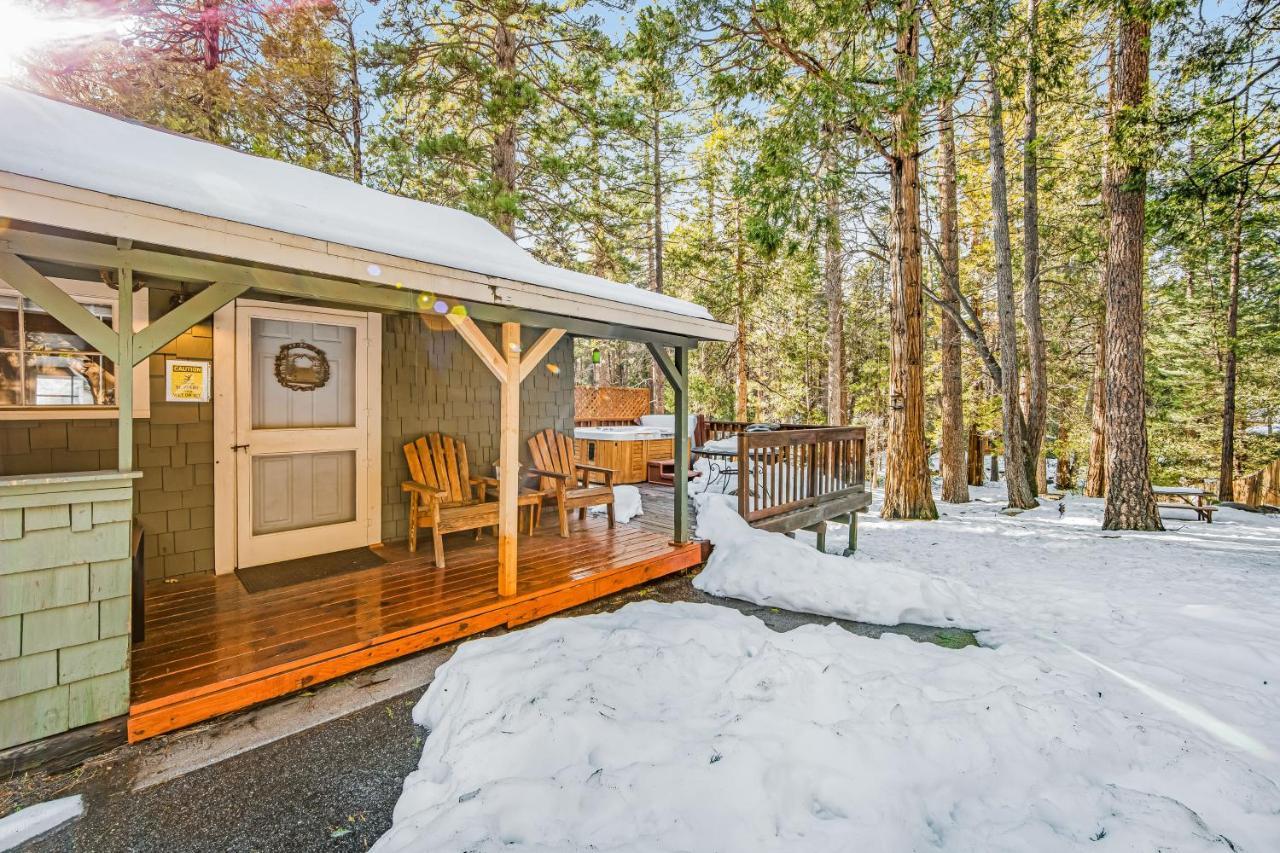 Creekside Cabin Otel Idyllwild Dış mekan fotoğraf