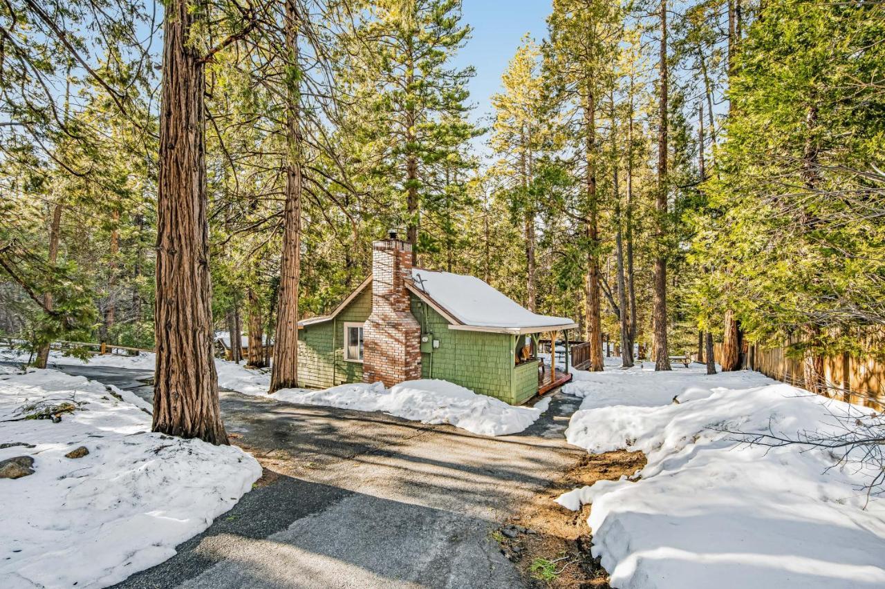 Creekside Cabin Otel Idyllwild Dış mekan fotoğraf