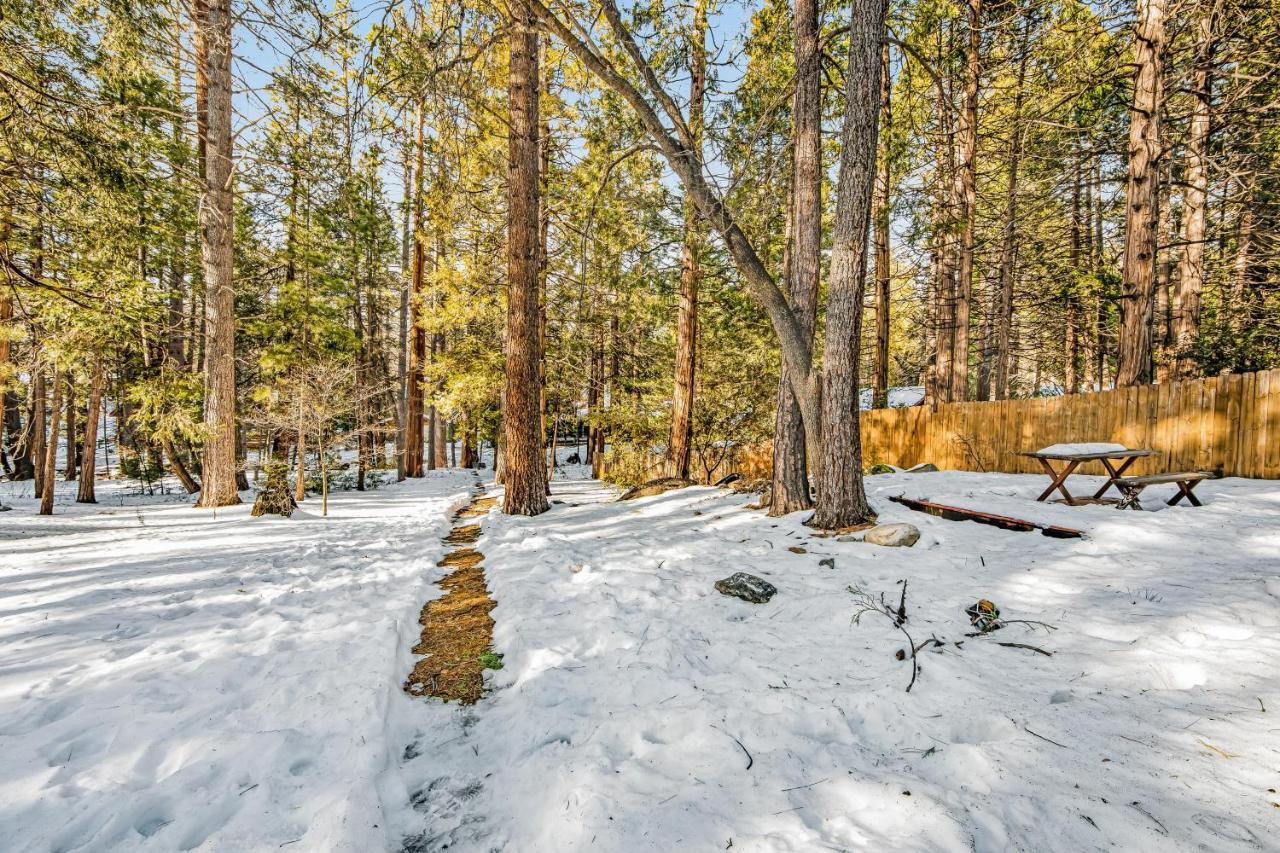 Creekside Cabin Otel Idyllwild Dış mekan fotoğraf